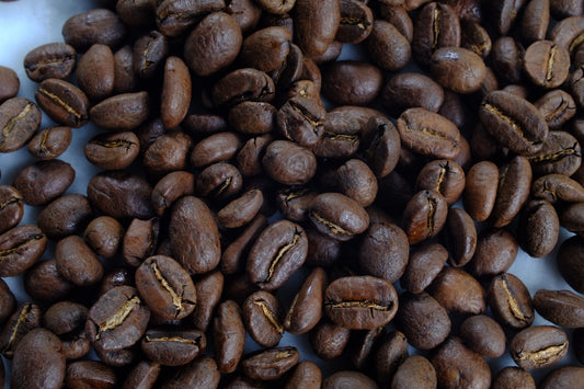 Organic Colombia Sierra Nevada